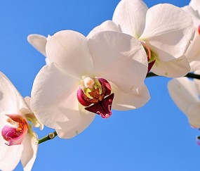宁波正规助孕捐卵机构，附正规捐卵机构报名表！